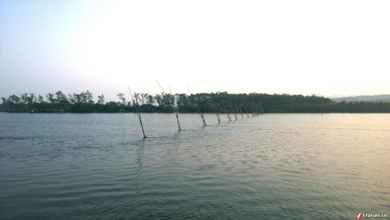 timhieu tengoi langtranxa.vn8